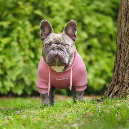 Essential Dog Hoodies