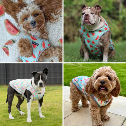 Chilltech™ Dog Cooling Vest 2 Pack