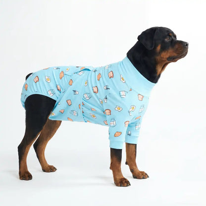 Dog Surgical Suit