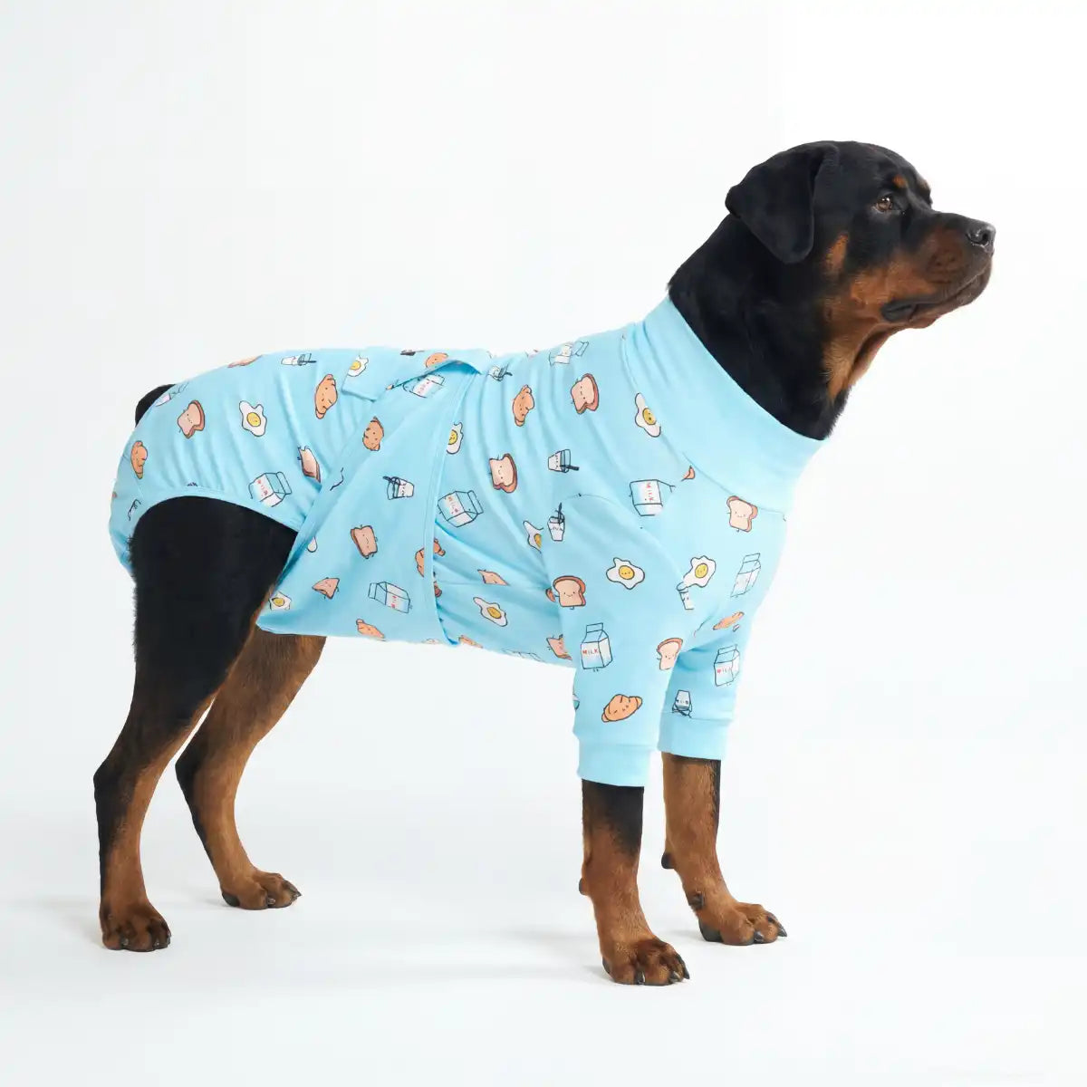 Dog Surgical Suit - Breakfast Blue