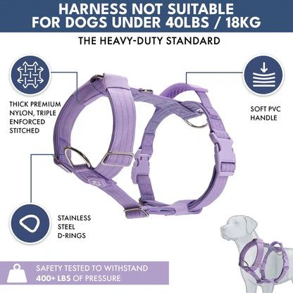 Comfort Control No-Pull Dog Harness and Multipurpose Leash Sets