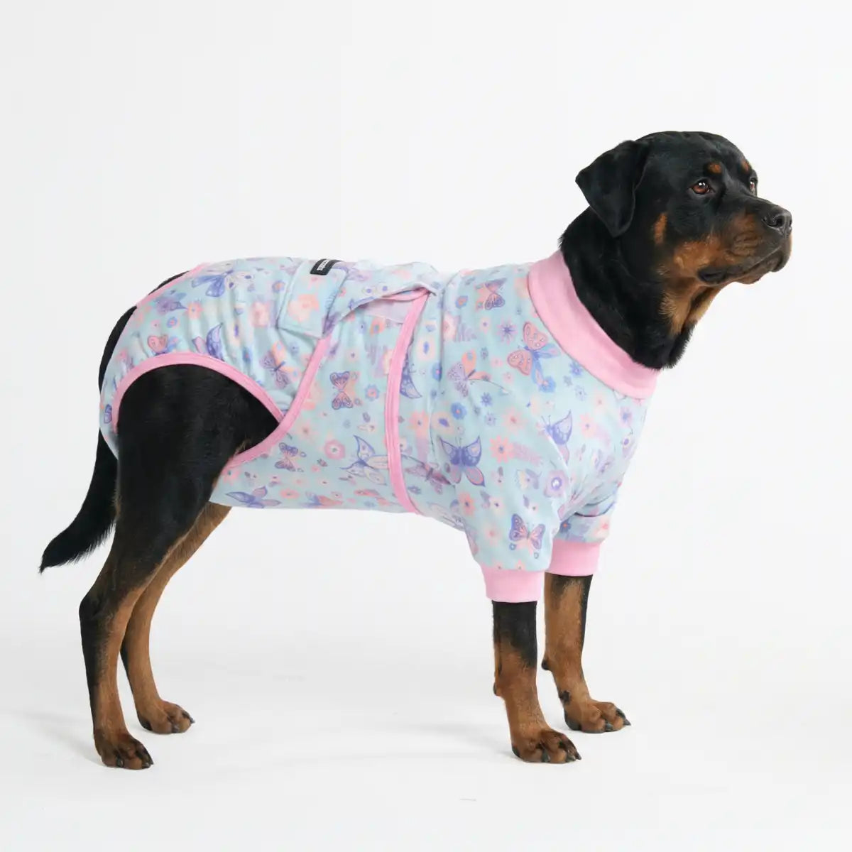 Dog Surgical Suit