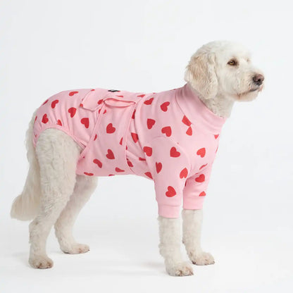 Dog Surgical Suit
