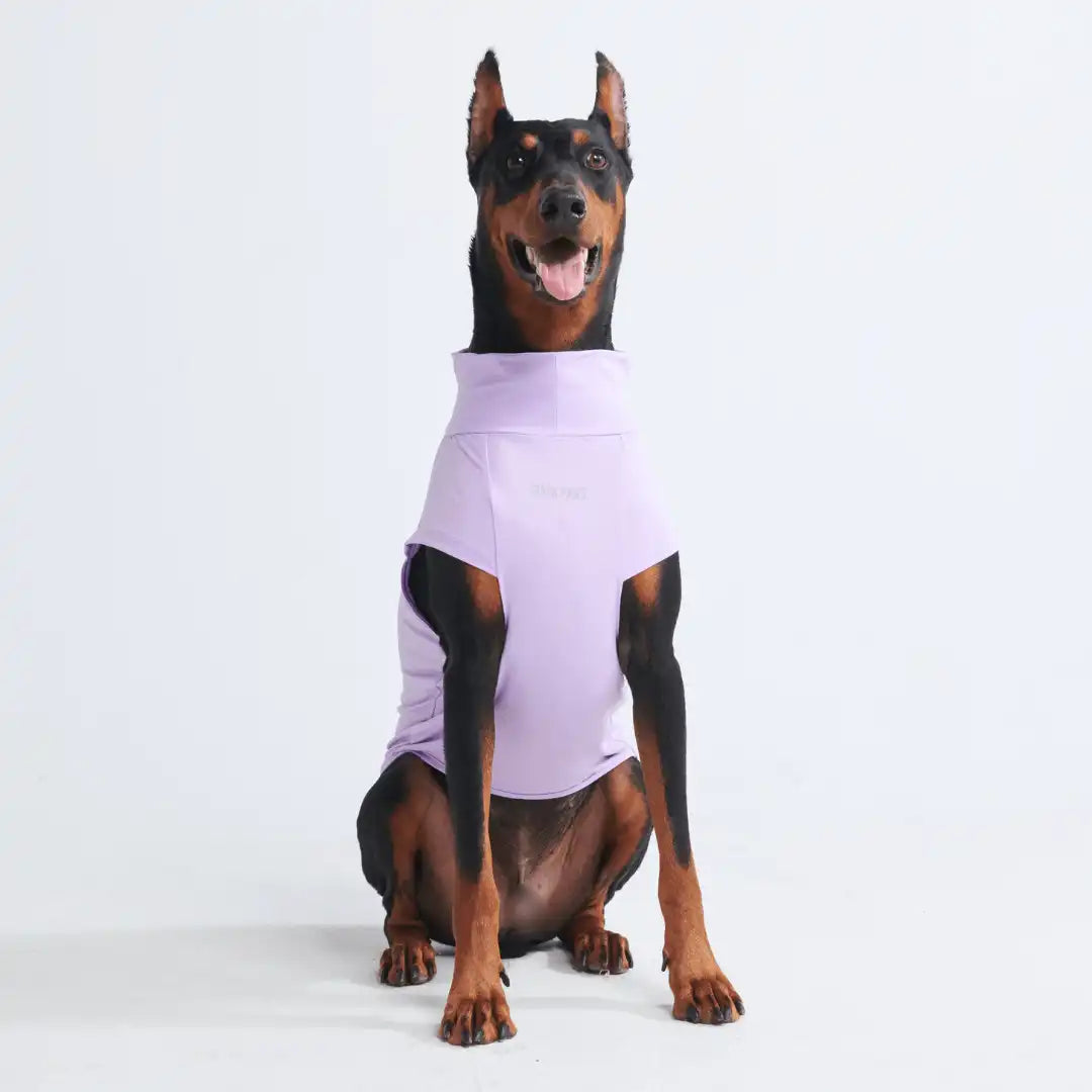 Sunblock Dog T-Shirts