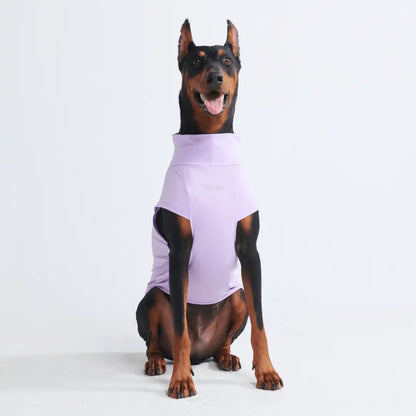 Sunblock Dog T-Shirts