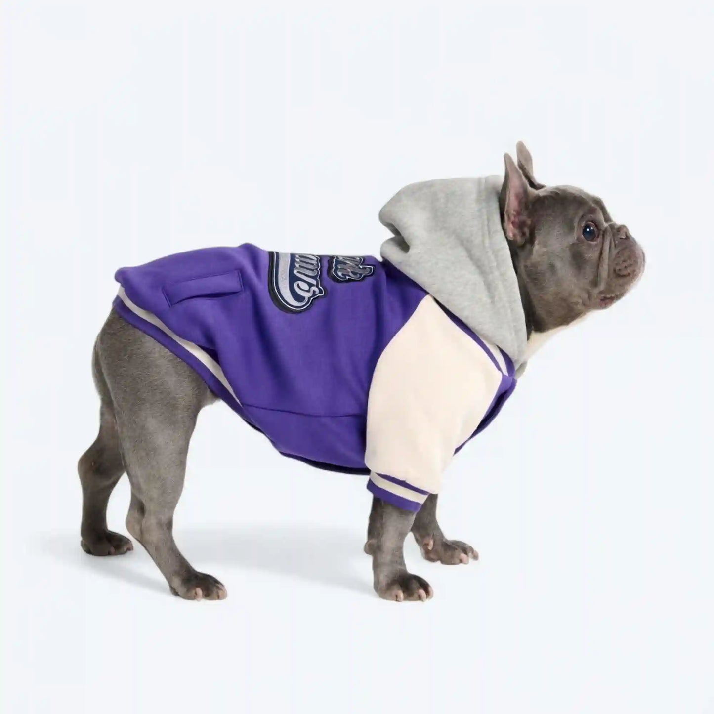 Dog Varsity Jackets
