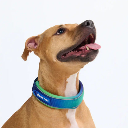 Cushioned Martingale Collars