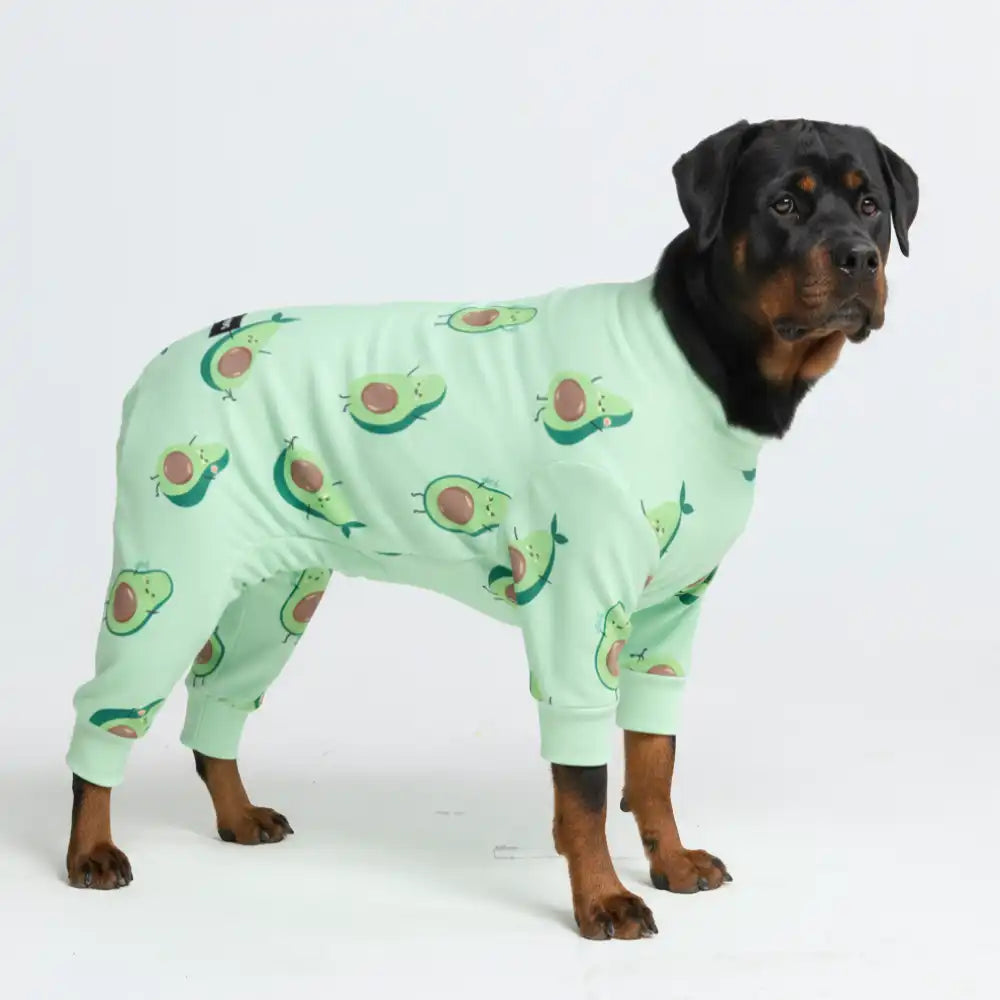 Dog Pajama Prints