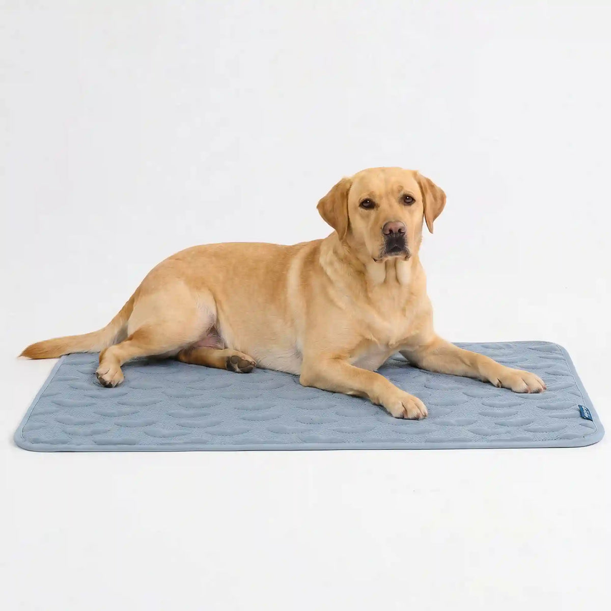 Frostcore™ Cooling Mat