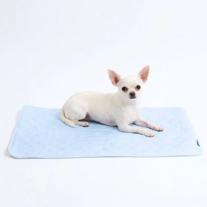 Frostcore™ Cooling Mat - Hearts Blue (2)