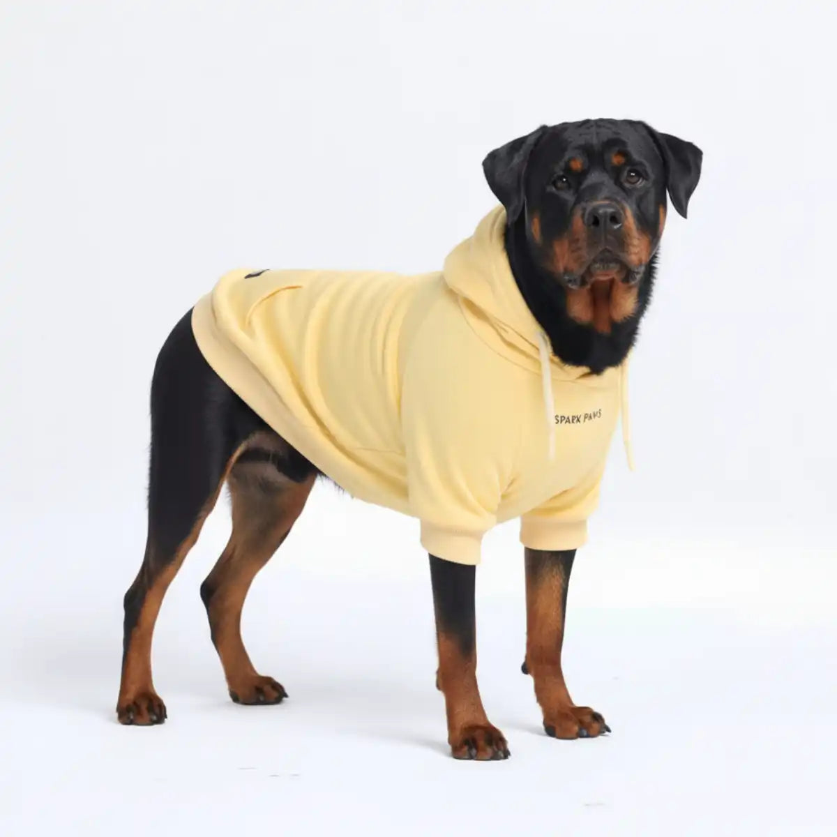 Essential Dog Hoodies