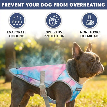 Dog Cooling Vest (2-pack) - Ice Blue & Snow Cone