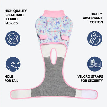 Dog Surgical Suit