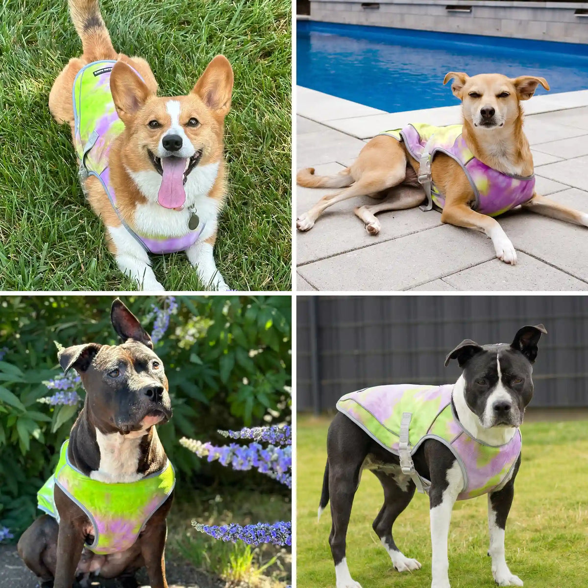 Chilltech™ Dog Cooling Vests