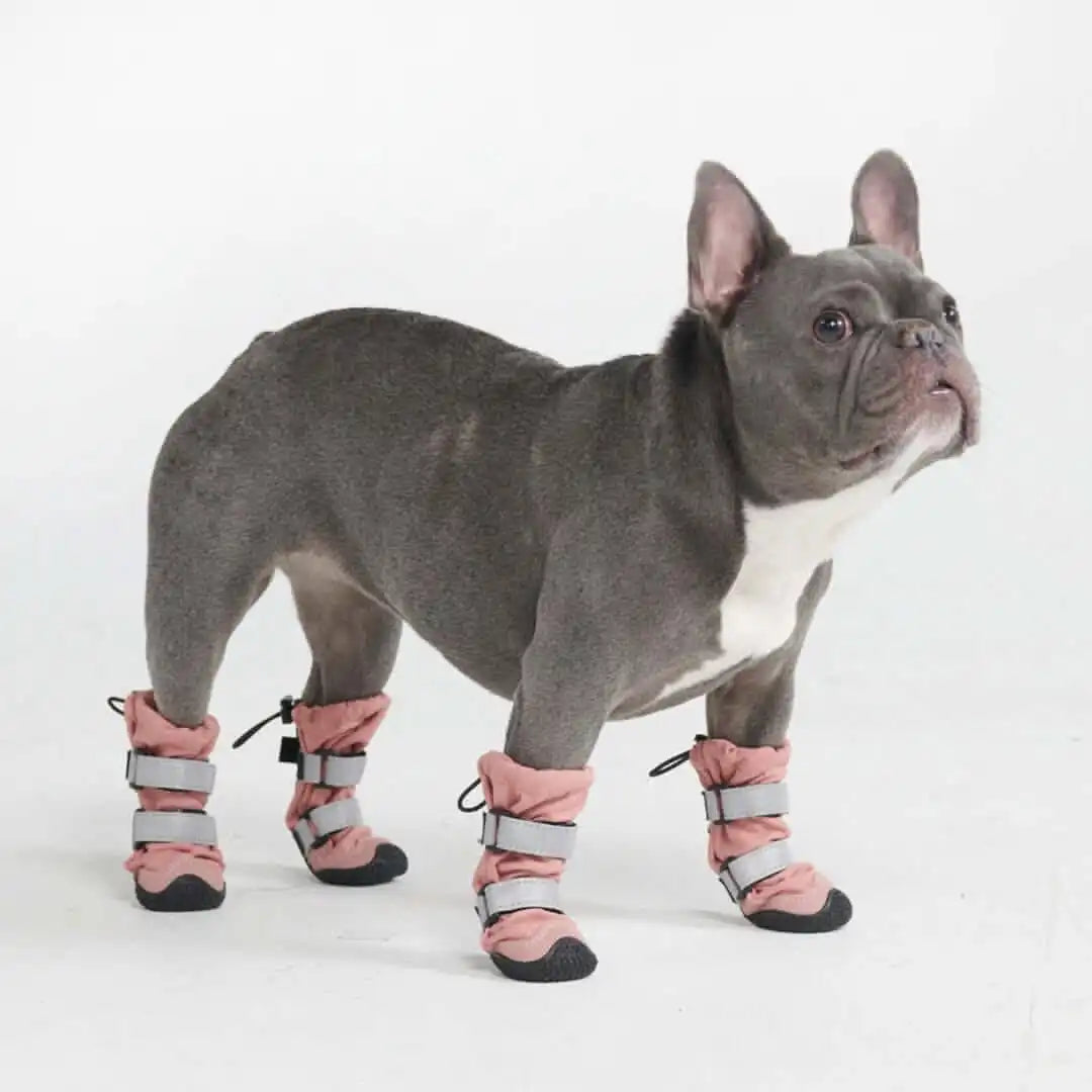 Dog Rainboots, Waterproof Dog Shoes