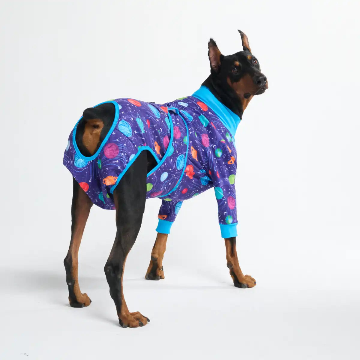Dog Surgical Suit - Planets