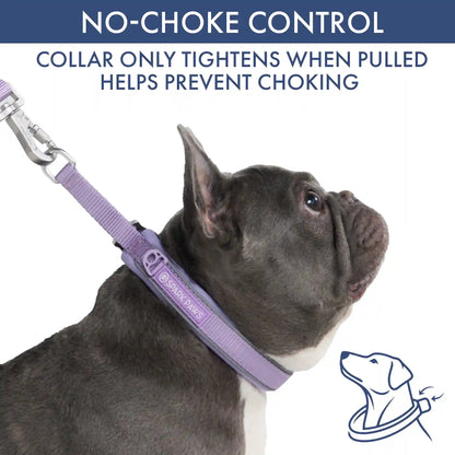 Martingale Collar Sets