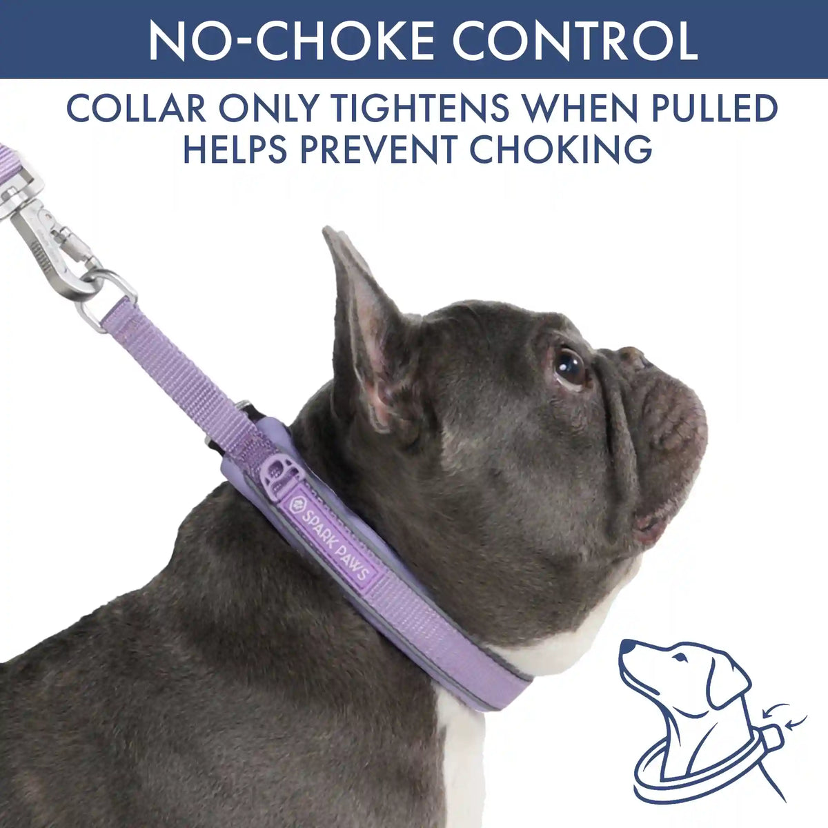 Martingale Collar Set - Lilac