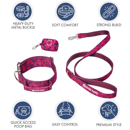 Comfort Control Dog Collar Sets