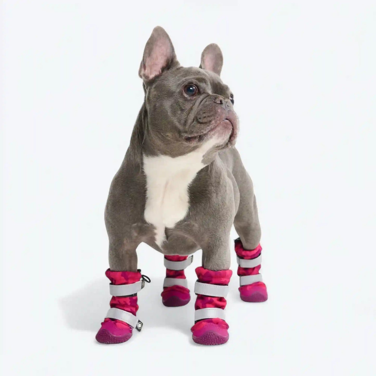 Dog Rainboots, Waterproof Dog Shoes