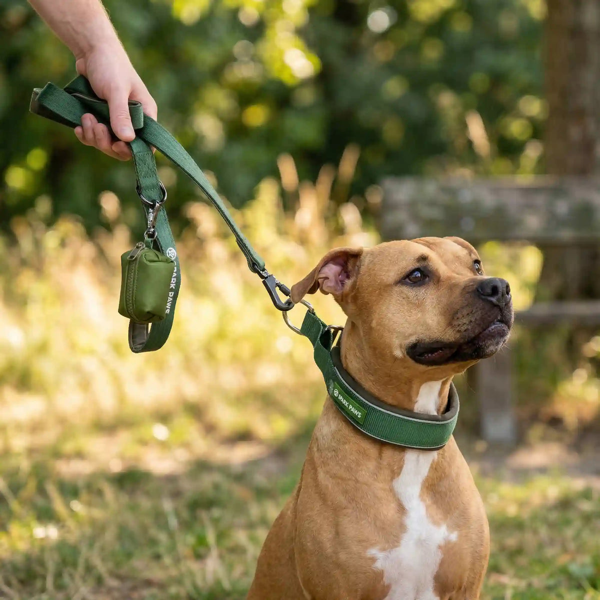 Martingale Collar Set - Army Green