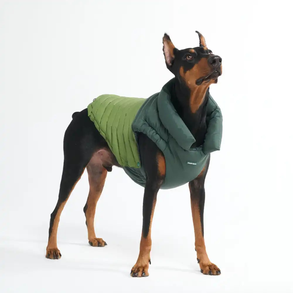 PuffShield Winter Jackets