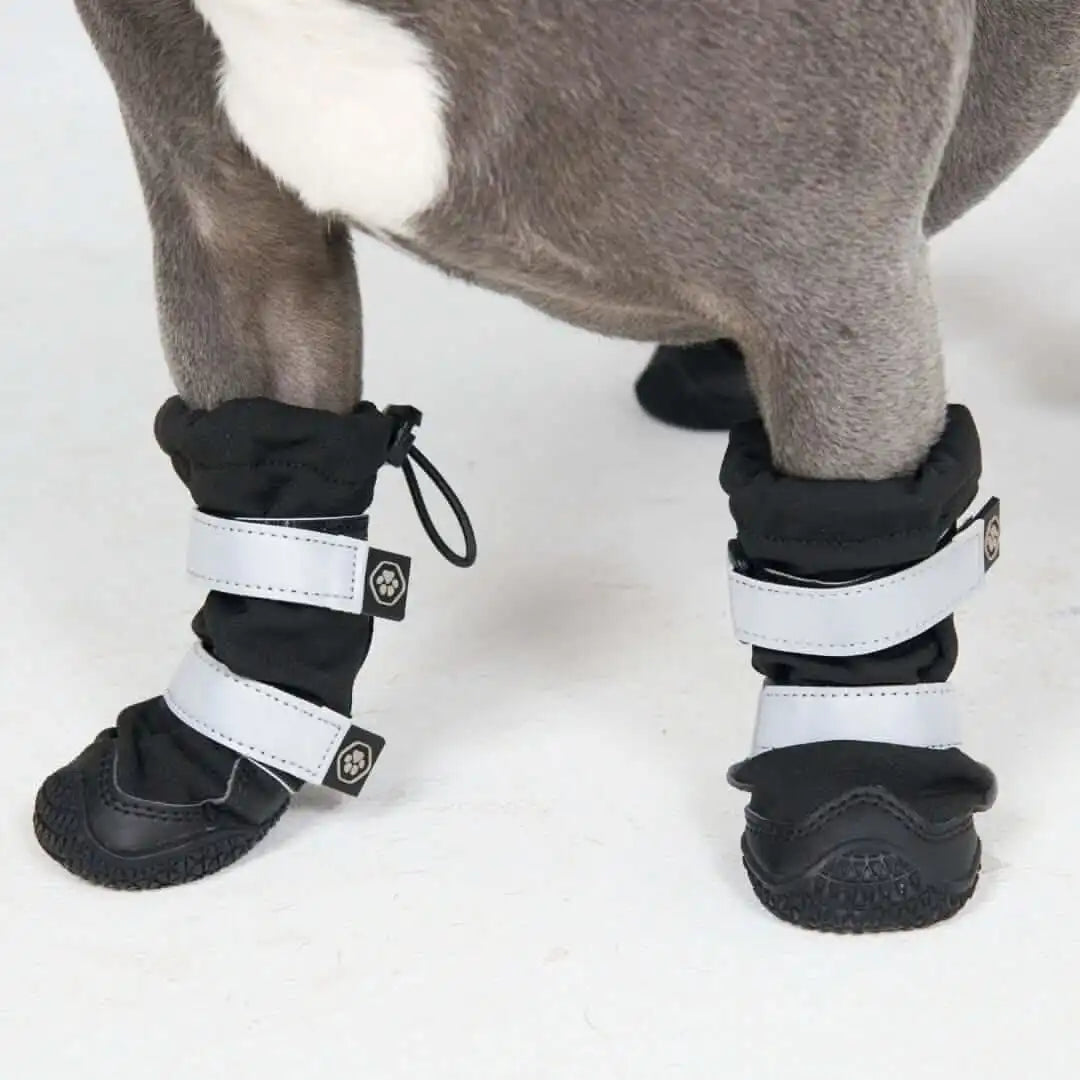 Dog Rainboots, Waterproof Dog Shoes