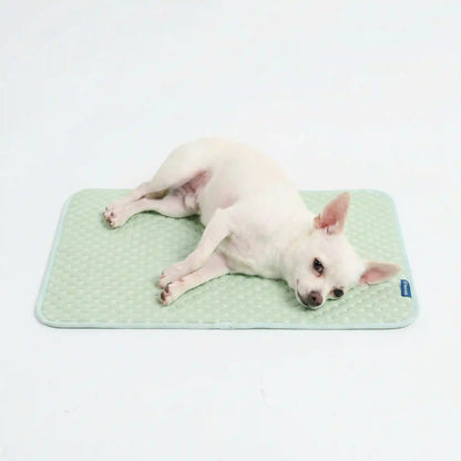 Frostcore™ Cooling Mat - Orb Green