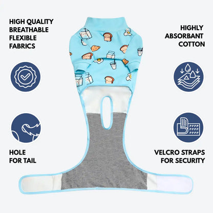 Dog Surgical Suit