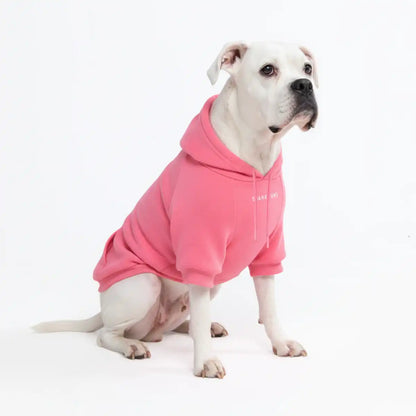 Essential Dog Hoodies