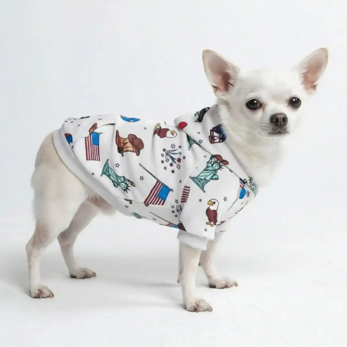 Around the World Dog Hoodies