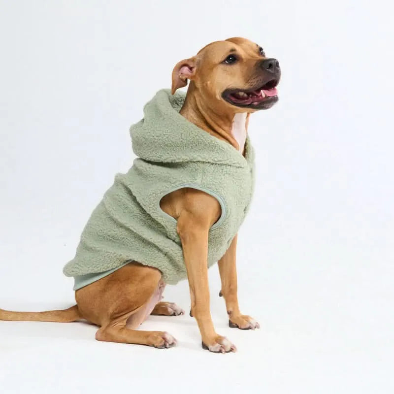 Teddy Sherpa Dog Jackets