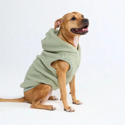 Teddy Sherpa Dog Jackets