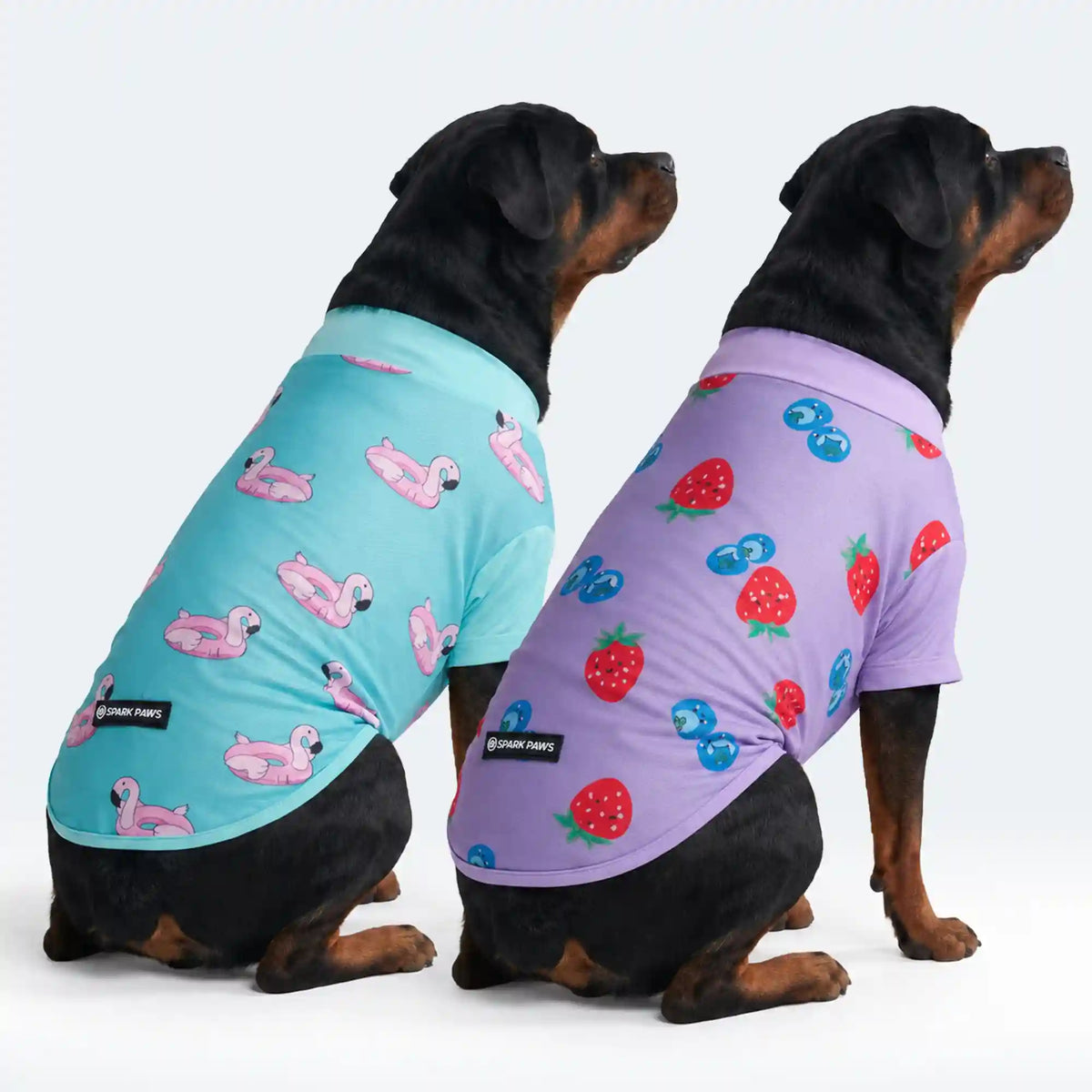 Sunblock Dog T-Shirt 2-pack