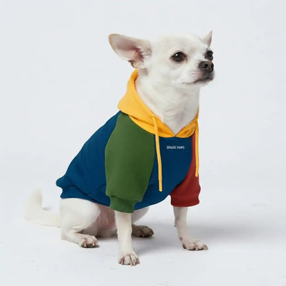 Primary Color Block Dog Hoodie