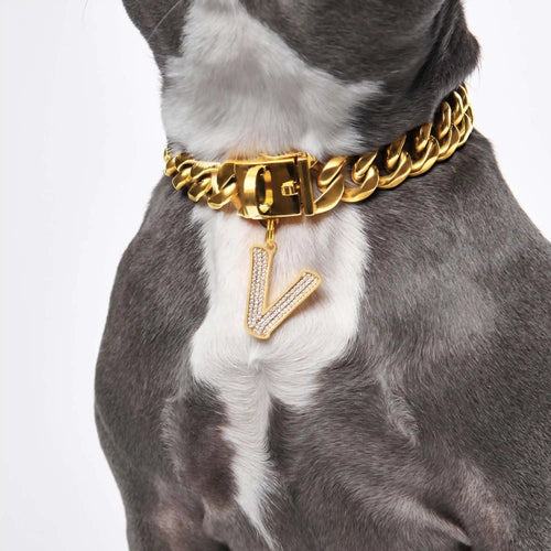 Initial Letter Jewelry Tag - V