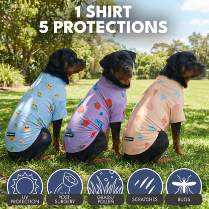 Sunblock T-Shirt 3 Pack