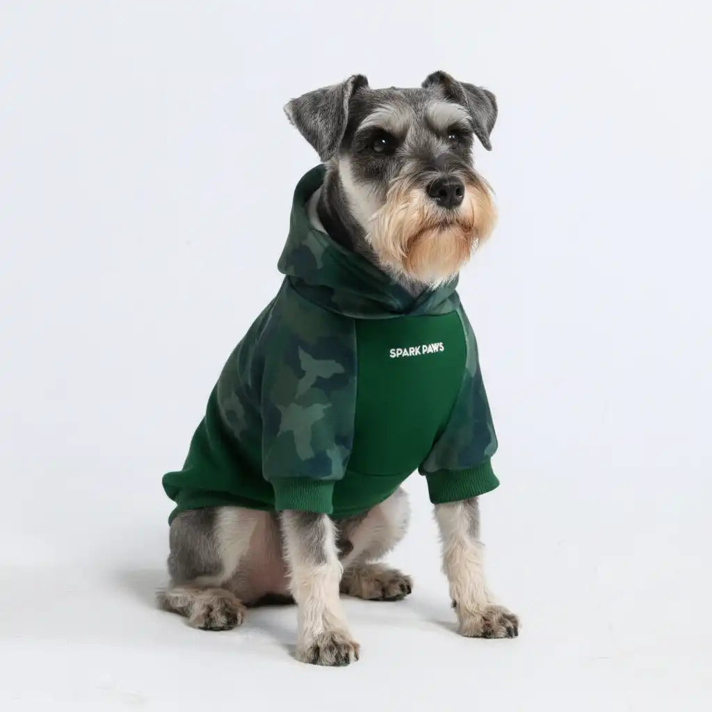 Forest Camo Dog Hoodie