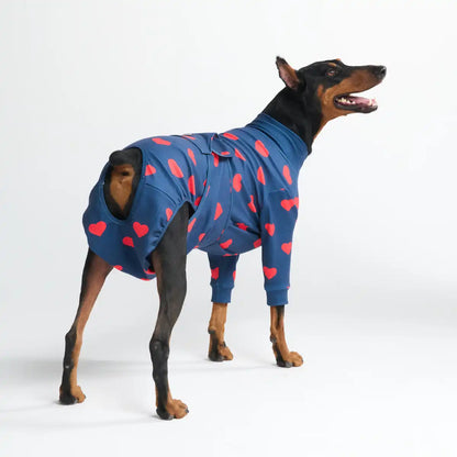 Dog Surgical Suit  2-pack