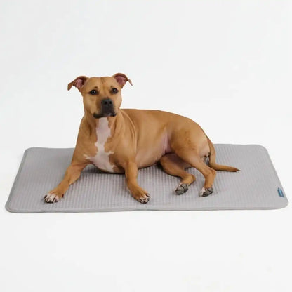 Frostcore™ Cooling Mat