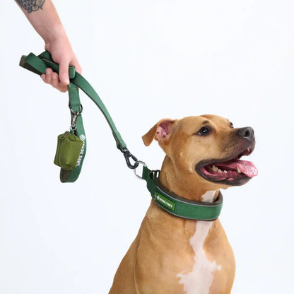 Cushioned Martingale Collar - Army Green