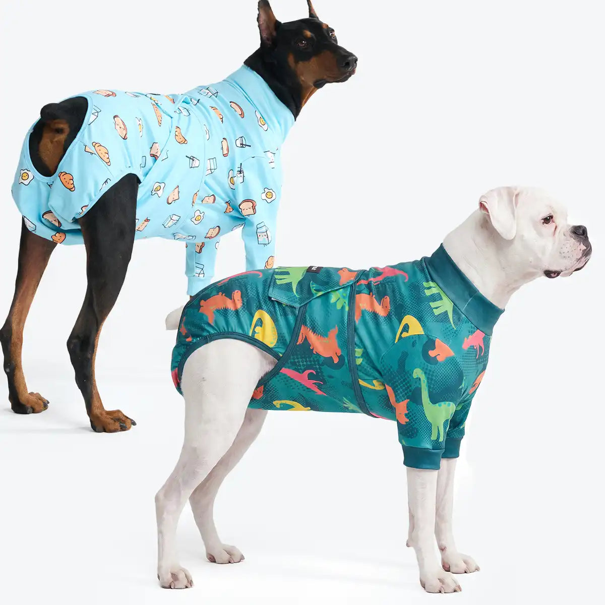 Dog Surgical Suit  2-pack