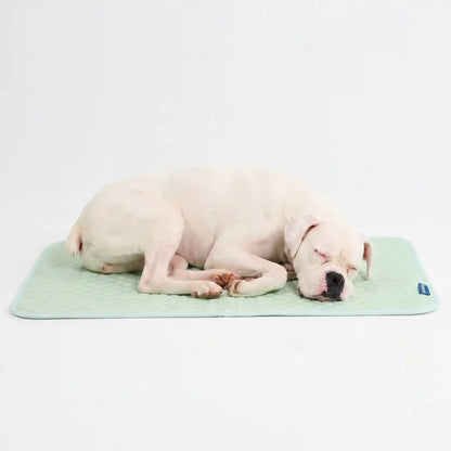 Frostcore™ Cooling Mat - Orb Green