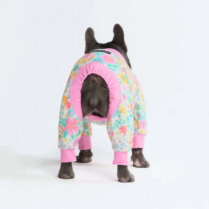 Dog Pajama Prints