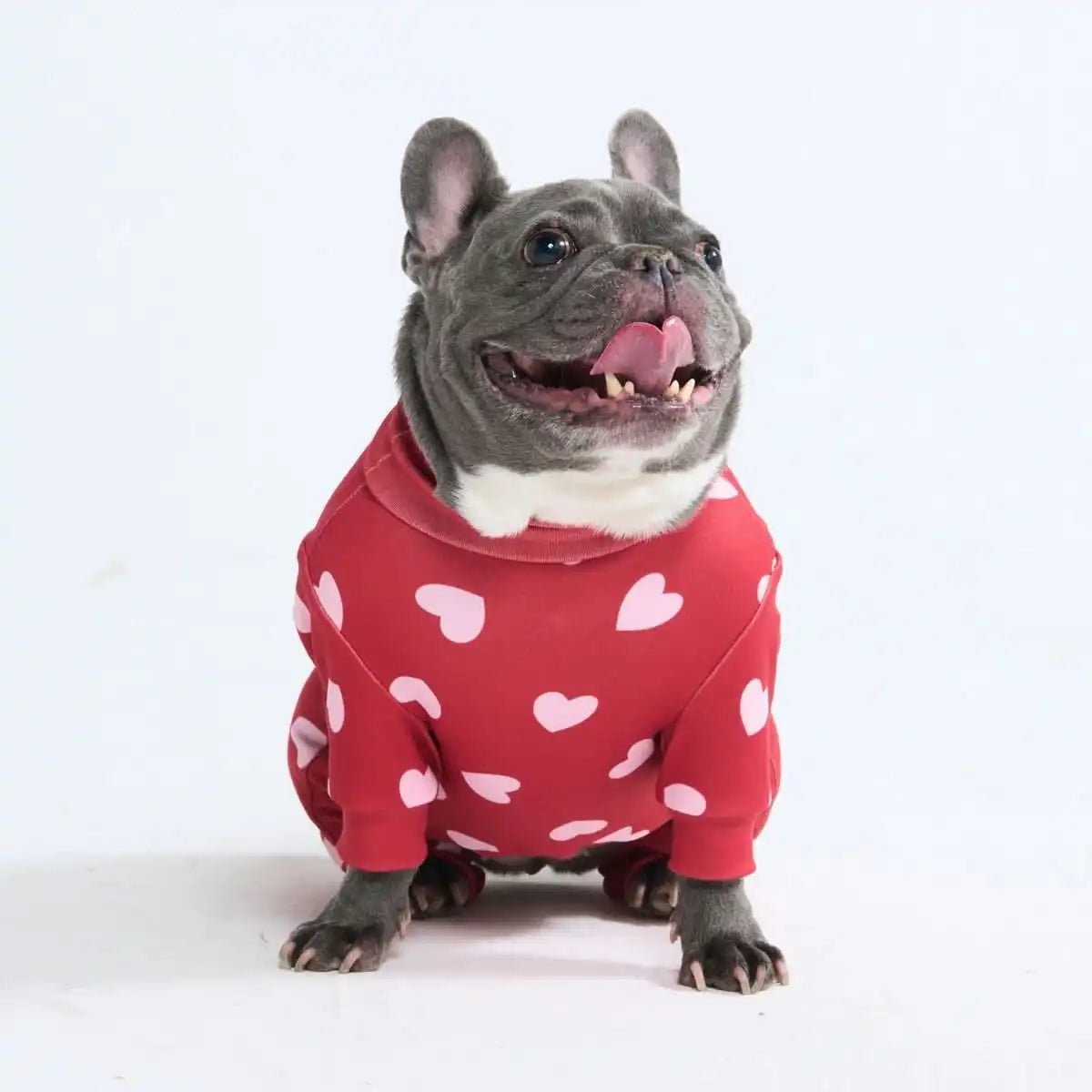 Dog Pajama Prints