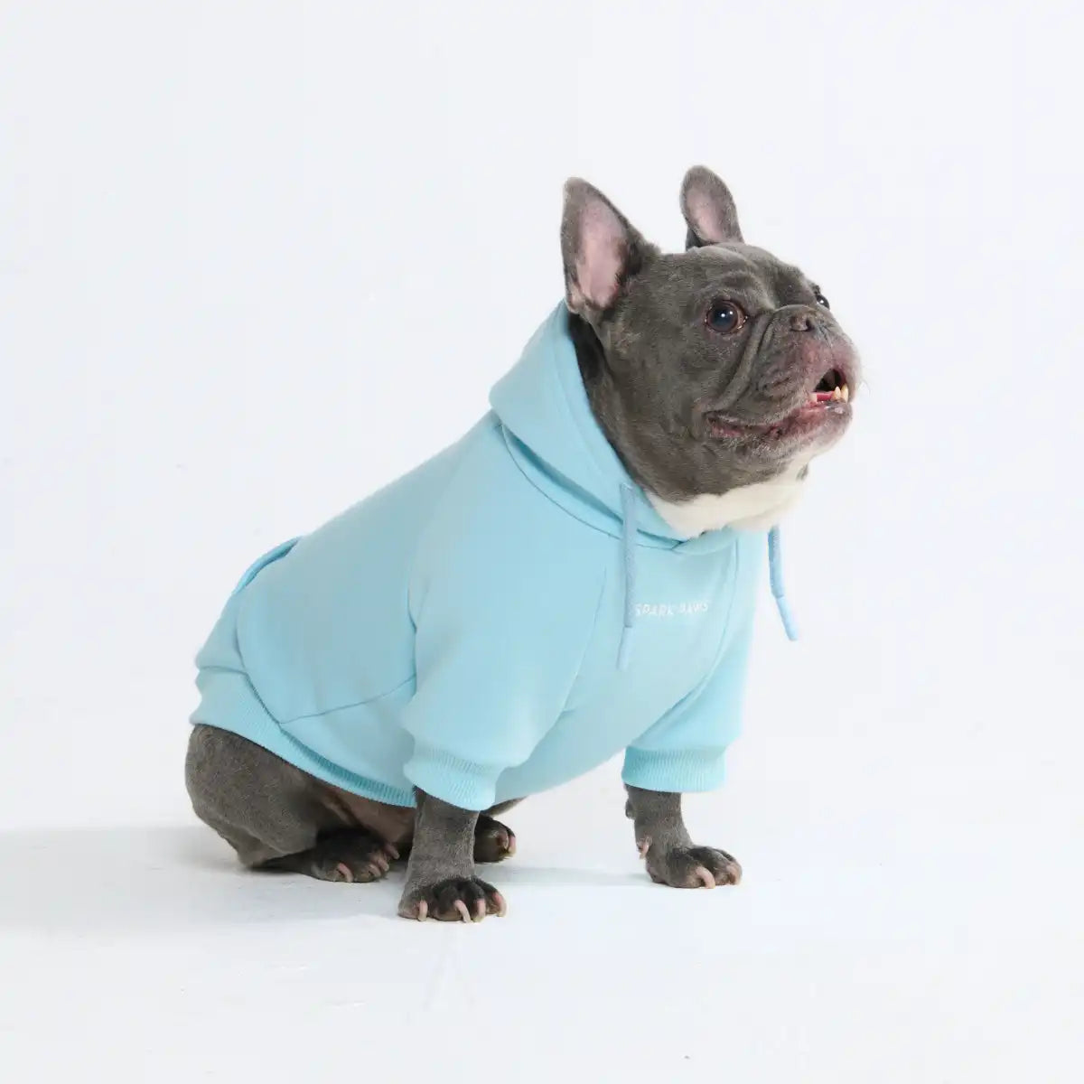 Essential Dog Hoodie - Baby Blue