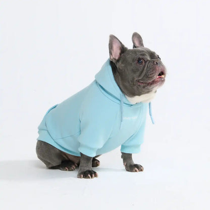 Essential Dog Hoodie - Baby Blue