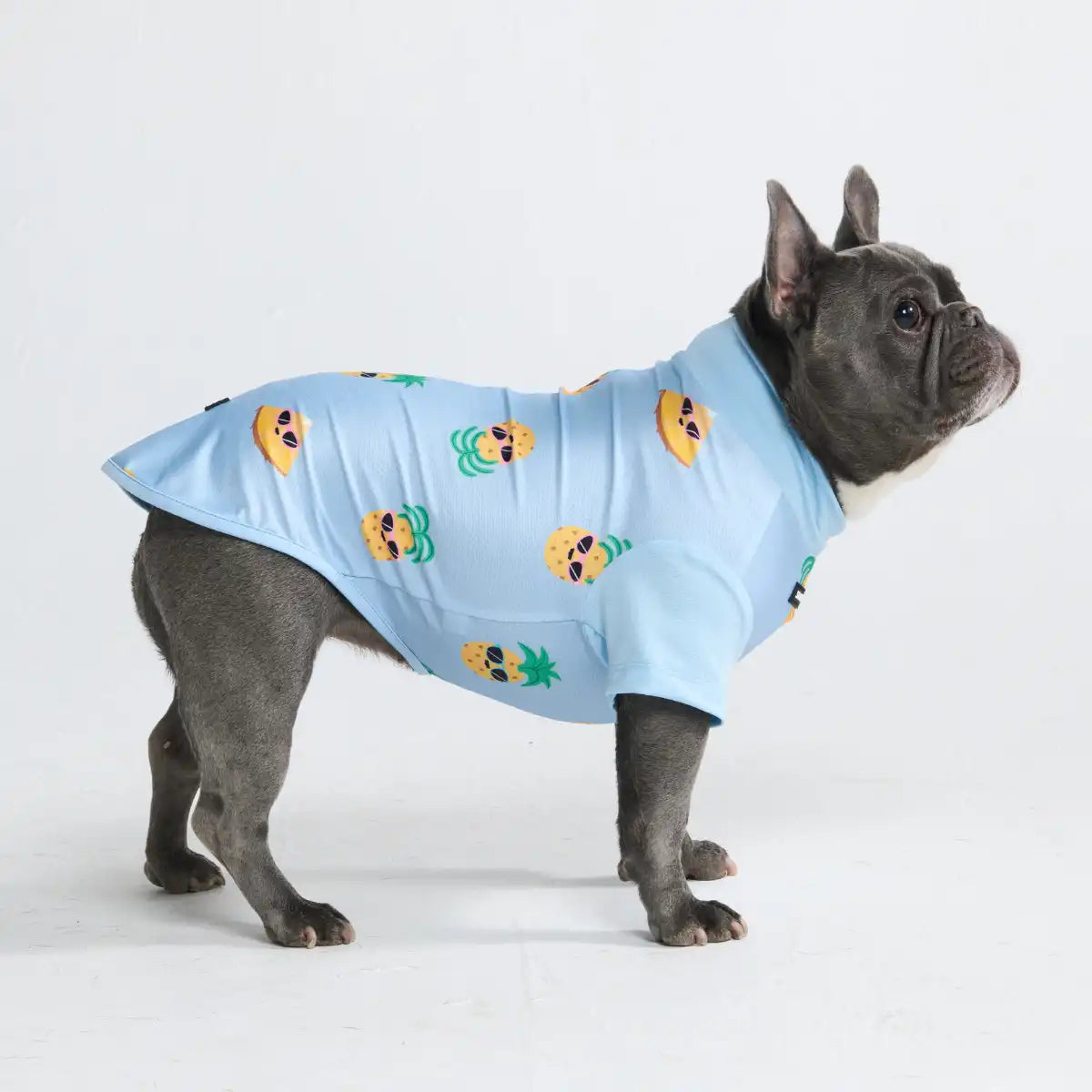 Sunblock Dog T-Shirt - Pineapple
