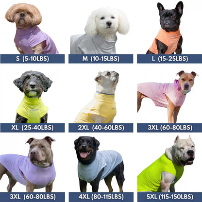 Sunblock T-Shirt 3 Pack