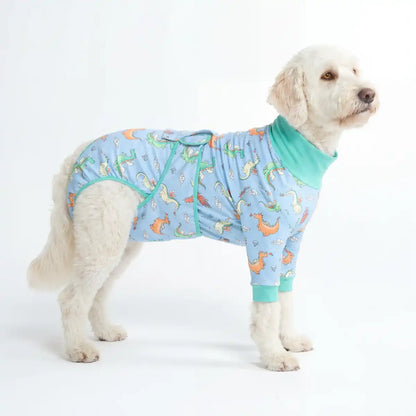 Dog Surgical Suit